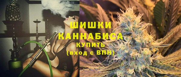 МДПВ Дмитров