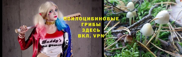 МДПВ Дмитров